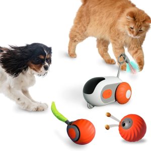 Gravity-Attracted Smart Running Car Remote-Controlled Electric Cat Toy Self-Playing Mouse Feather Cat Teaser Wand Cat Toy